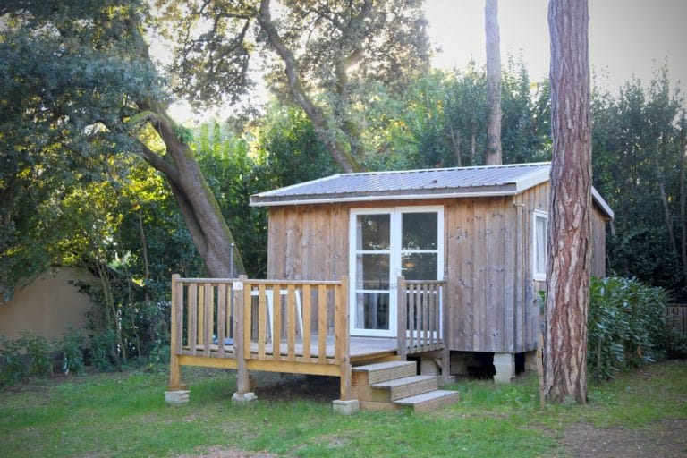 Cabane en bois dans une forêt verdoyante.