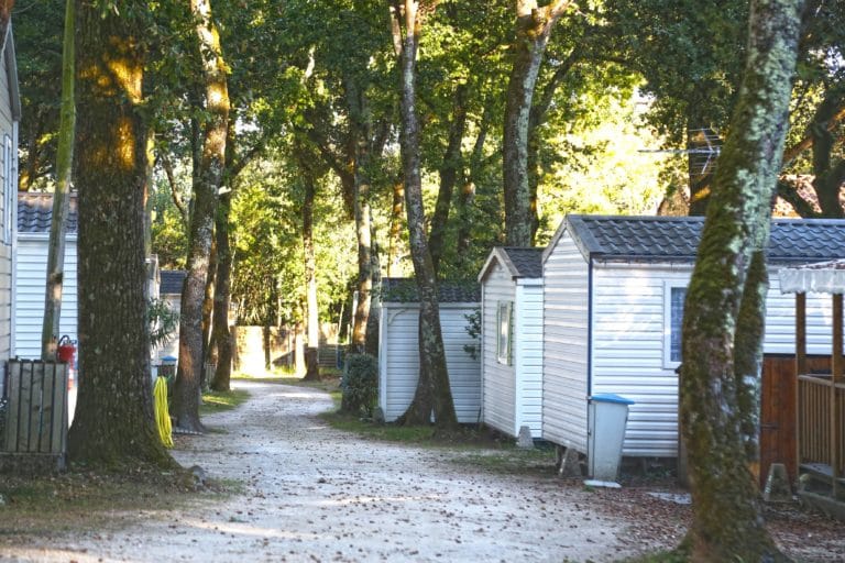 Allée de chalets en forêt lumineuse.