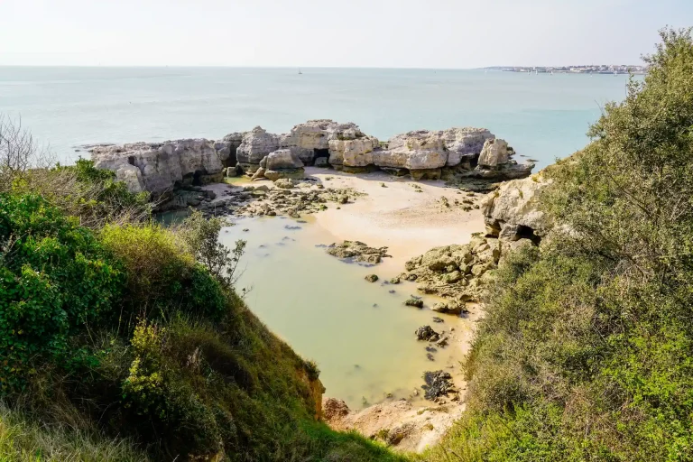 Partez à la découverte des criques sauvages près du camping à Meschers-sur-Gironde en Charente-Maritime.
